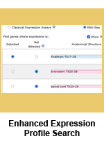Expression Profile Search Enhanced